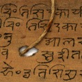 Indo European